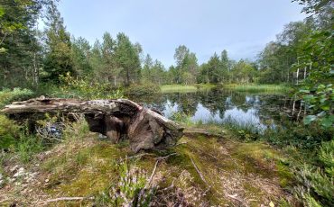 vatsla-kula-naistesoo